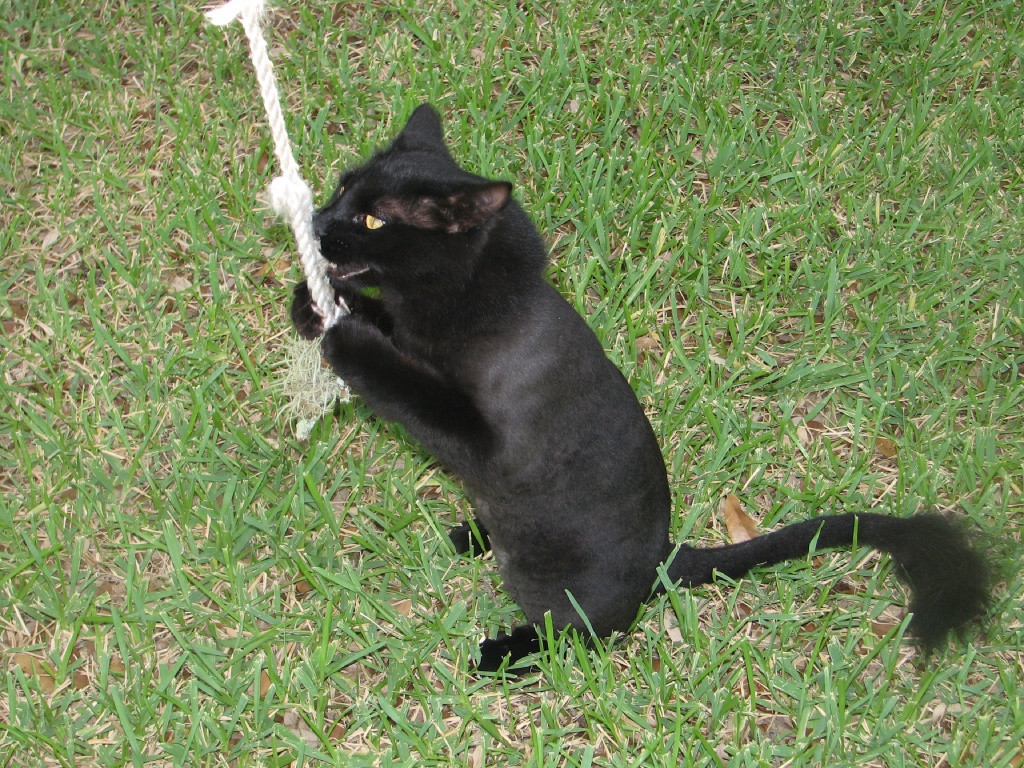 20100206 270.JPG
